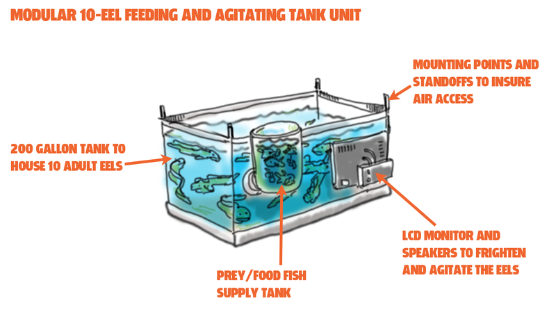 Illustration for article titled Let's Find Out If Using Electric Eels To Charge Your Tesla Is A Good Idea